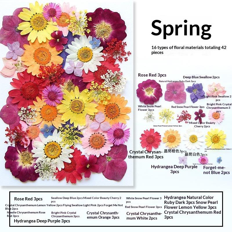 Dried Flowers Real Natural Pla - Nail Art Natural review and price