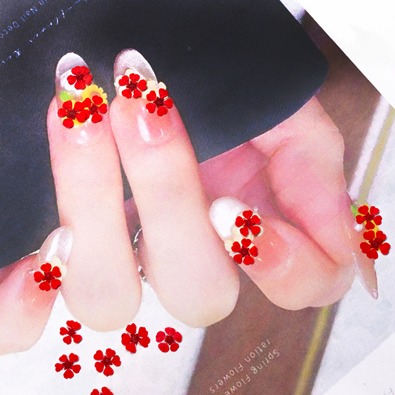 96Pcs Mini 1.5cm Natural Press - Nail Art Natural review and price