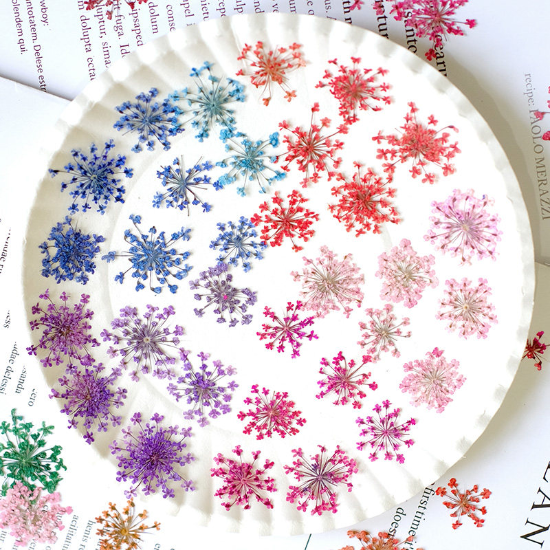 24pcs, 2-2.5cm, Nature Dyed Mi - Nail Art Natural review and price