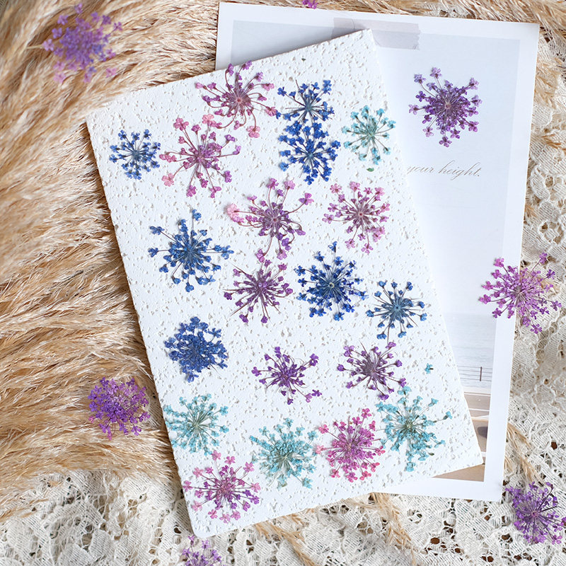 24pcs, 2-2.5cm, Nature Dyed Mi - Nail Art Natural review and price