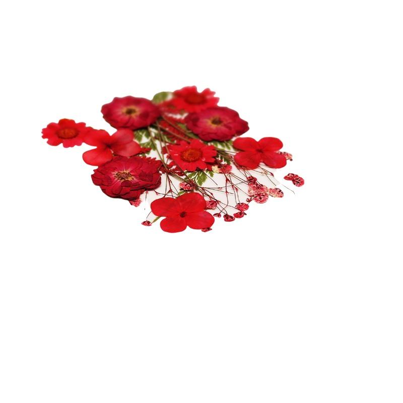 Real Natural Pressed Dried Pla - Nail Art Natural review and price
