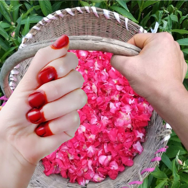 40g Henna Nail Dye Powder For  - Nail Art Natural review and price