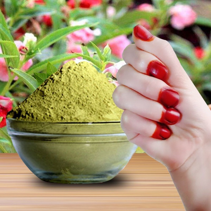 40g Henna Nail Dye Powder For  - Nail Art Natural review and price